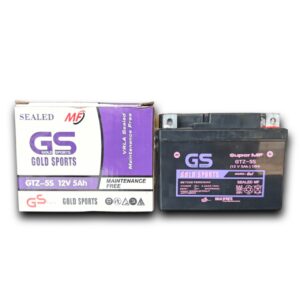 aki gs gold sport gtz5s